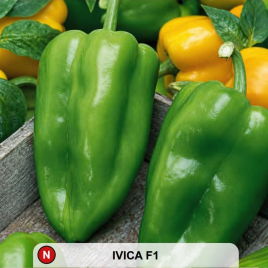 Перец сладкий Ивица F1 