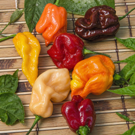 Перець Хабанеро суміш