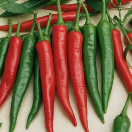 Перець Корал Зел