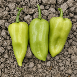 ЦРХ 69110 F1 (CRX 69110 F1) насіння перцю солодкого (Cora Seeds)