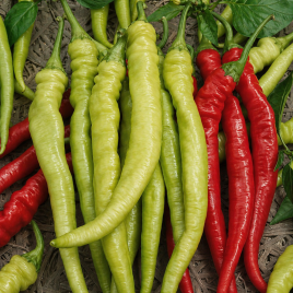 Перец Сигаретта Бергамо 