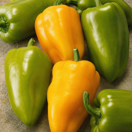 Перец Голдус F1 