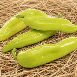Фуджи F1 семена перца горького тип Чарльстон конич. 45-60 гр. 15-18х2,8-3,8 см св.-зелен. (Sakata)