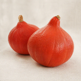 Гарбуз Кендісвіт 