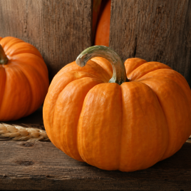 Чародійка насіння гарбуза (Елітний ряд)