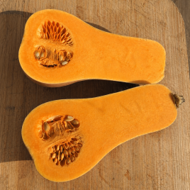 Тыква Новинка семена тыквы (Seedera) 