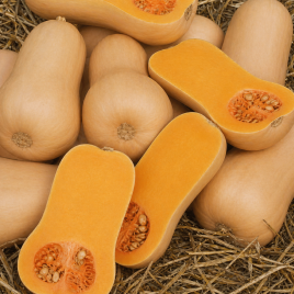 Плуто F1 семена тыквы мускатной 1,0-1,5 кг (Sakata)
