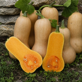 тыква арахисовое масло