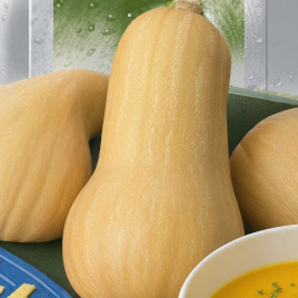 Тыква Арахисовое масло 