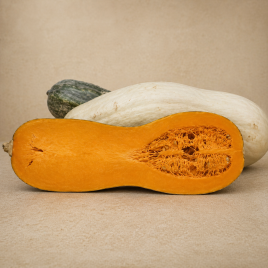 Гарбуз Плейн де Неаполіс