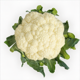 Ванза F1 (KS 35 F1) семена капусты цветной (Kitano Seeds)