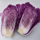 KS 888 F1 насіння капусти пекінської (Kitano Seeds)