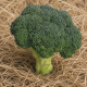 КС 355 F1 (KS 355 F1) семена капусты брокколи ранней 65-70 дн. (Kitano Seeds)