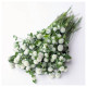 Гомфрена белая (white) семена 60см (W.Legutko)