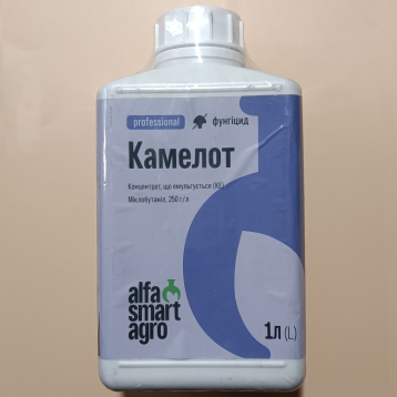 Фунгицид Камелот 