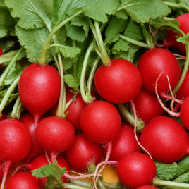 Рубин семена редиса (Satimex)