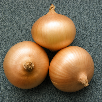 Августа семена лука репчатого короткого дня озимого раннего 260-280 дн. окр. 110-120 гр. (Semo)