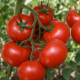 Хитомакс F1 семена томата индет. (Kitano Seeds)