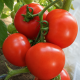 Ядвига F1 семена томата полудет. (Kitano Seeds)
