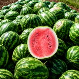 Кримсон Свит семена арбуза среднего 80-85 дн. 8-12 кг окр. (Innova Seeds)