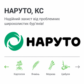 Наруто гербицид концентрат суспензии (Самміт Агро Юкрейн)
