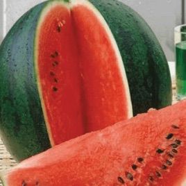 Шуга Беби семена арбуза (Hortus)