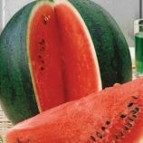 Шуга Беби семена арбуза (Hortus)