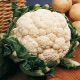 Палла ди Неве семена капусты цветной (Euroseed)