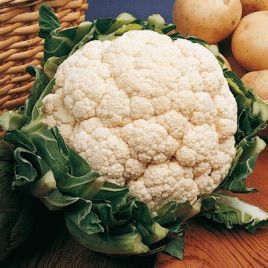 Палла ди Неве семена капусты цветной (Euroseed)