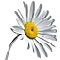 Ромашка
