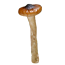 Гигрофора