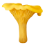 Лисичка