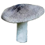Рядовка