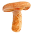 Рыжик