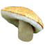 Гиропорус