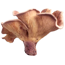 Панус