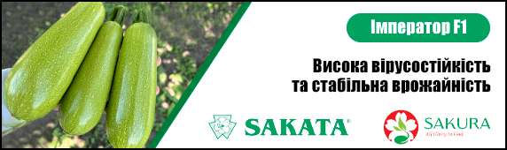 Кабачок імператор