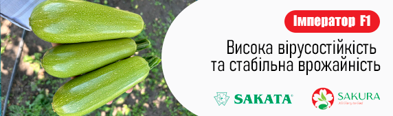 Кабачок імператор