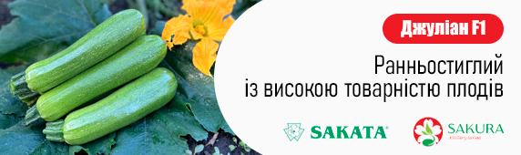 Кабачок Джулиан