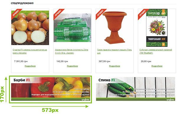 Спецпредложения