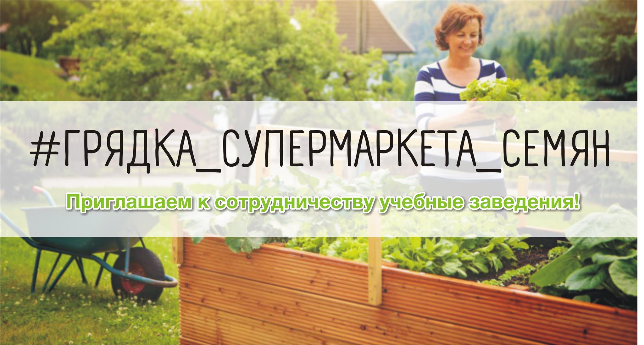Грядка Супермаркета Семян