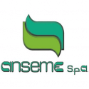 Anseme