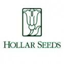 Hollar Seeds