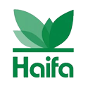 Haifa