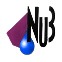 NUZ N.V.