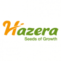 Manufacturer - Hazera