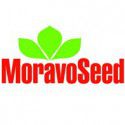 Manufacturer - Moravoseed