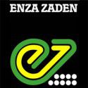 Manufacturer - Enza Zaden