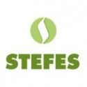 STEFES