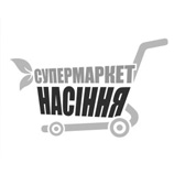 Ювель сильвер блу семена астры игольчатой 60-75см (Satimex)